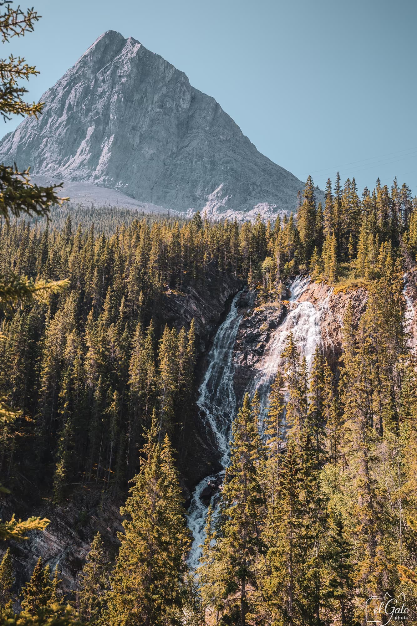Paysage de montagne — cascade au milieu des sapins