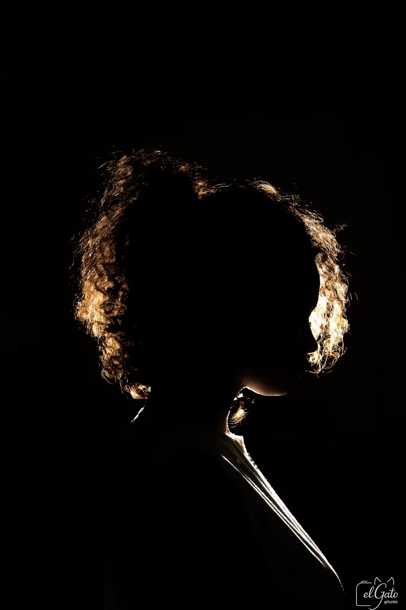 Portrait artistique